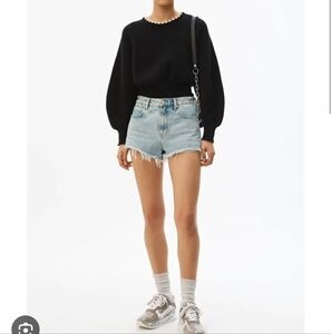 NWT Alexander Wang Bite Shorts